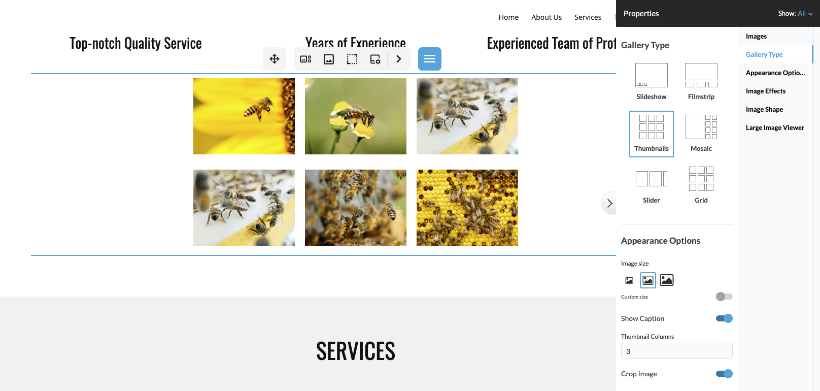 Gallery type options