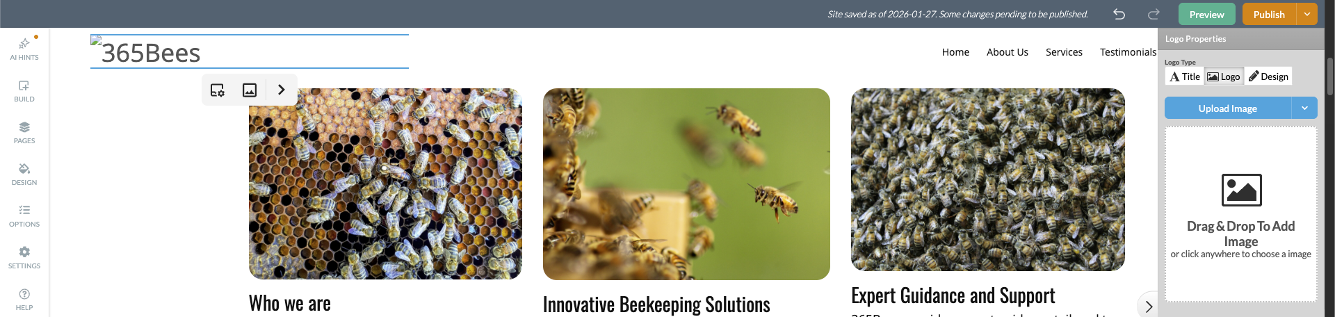 Logo Manager — three logo options